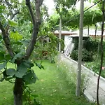 Stai Za Gosti Venera