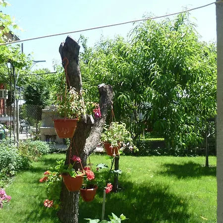 Guest house Stai Za Gosti Venera *