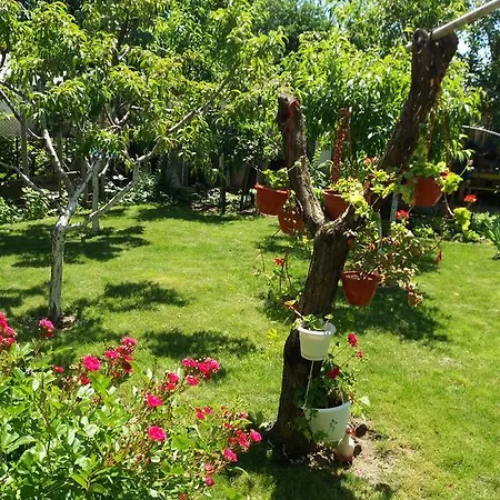 Stai Za Gosti Venera 3* ヒサリャ