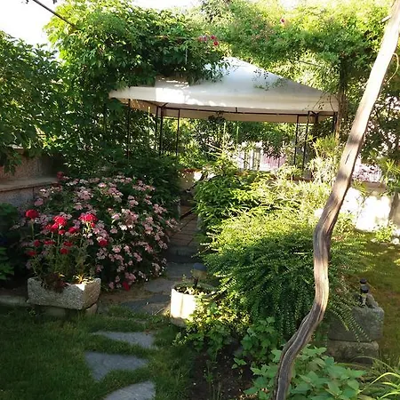 Stai Za Gosti Venera