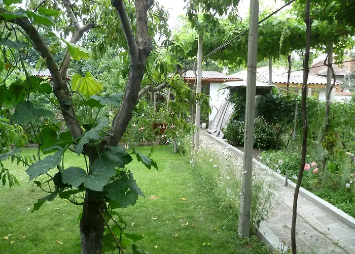 Stai Za Gosti Venera