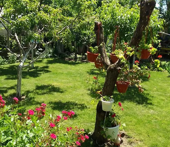 Stai Za Gosti Venera 3* Hisarya