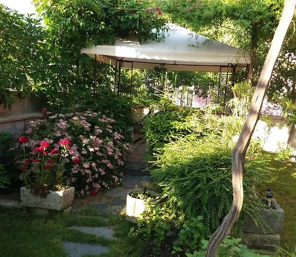 Stai Za Gosti Venera